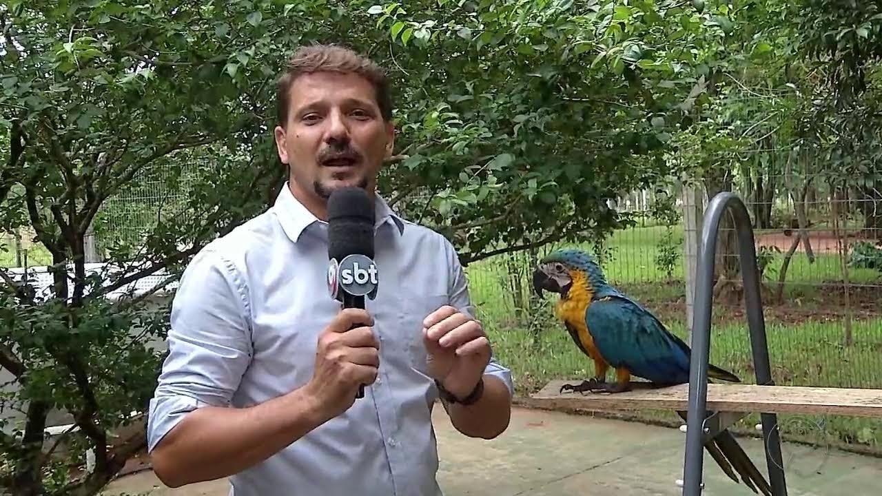 SBTMS NOTÍCIAS 17-01-24