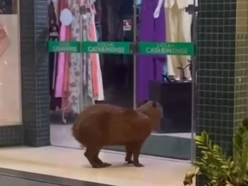 Whatsapp image 2025 12 28 at 132459.jpeg