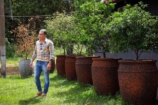 Do quintal ao apartamento, jardins criativos mudaram a forma de morar Do quintal ao apartamento, jardins criativos mudaram a forma de morar