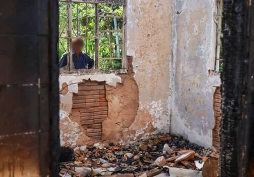 Após ver a casa onde cresceu em cinzas, verdureira monta banca para trabalhar