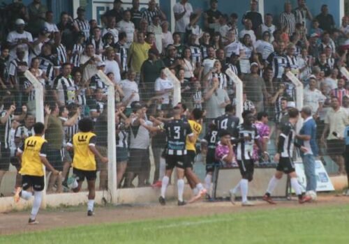 Estadual terá ações contra o feminicídio, proteção animal e doação de sangue