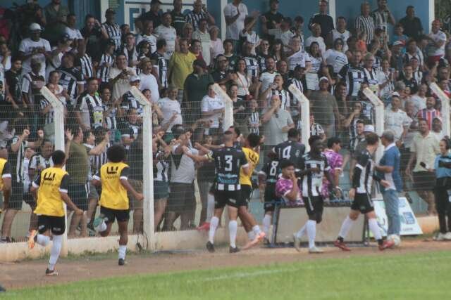 Estadual terá ações contra o feminicídio, proteção animal e doação de sangue