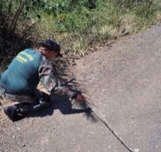 Concessionária recorre de multa por incêndio que atingiu sítios em Bodoquena Concessionária recorre de multa por incêndio que atingiu sítios em Bodoquena