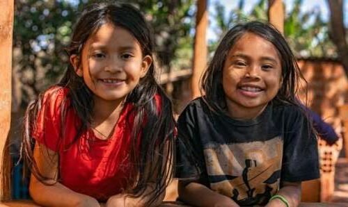 Ferramenta inédita permite acompanhar o desenvolvimento de crianças indígenas