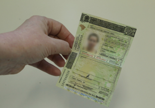 Golpistas criam site falso e cobram altas taxas para quem busca 1ª CNH