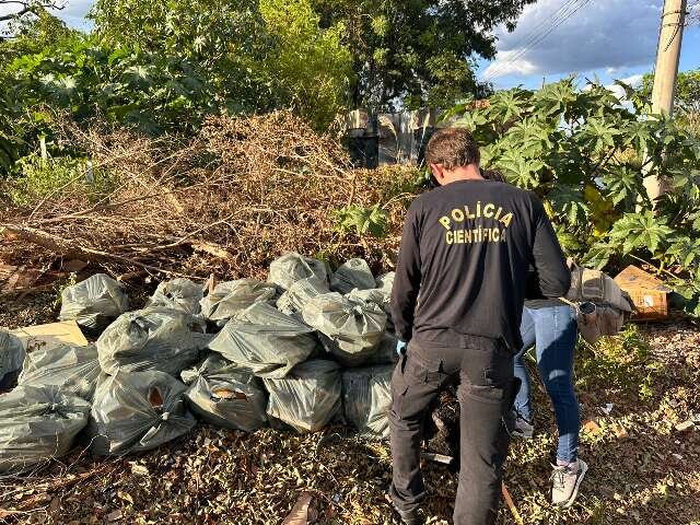 Casal é preso por descartar caixas d’água de amianto em terreno