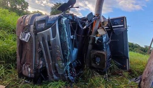 Caminhão sai da pista, bate em árvore e fica destruído na MS-040