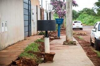 Obra ignora árvore com risco de queda e moradores vivem com medo no Noroeste Obra ignora árvore com risco de queda e moradores vivem com medo no Noroeste