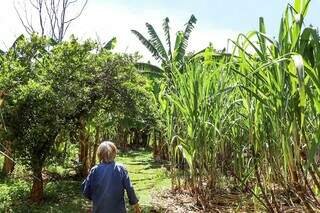 Após ver a casa onde cresceu em cinzas, verdureira monta banca para trabalhar