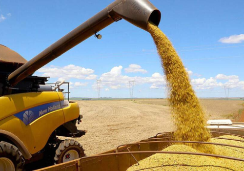 MS deve bater recorde ao produzir 29 milhões de toneladas de grãos