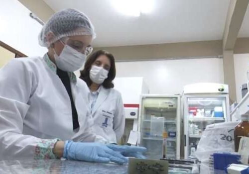 MS é um dos poucos estados que realiza testes para micose que mais mata no País