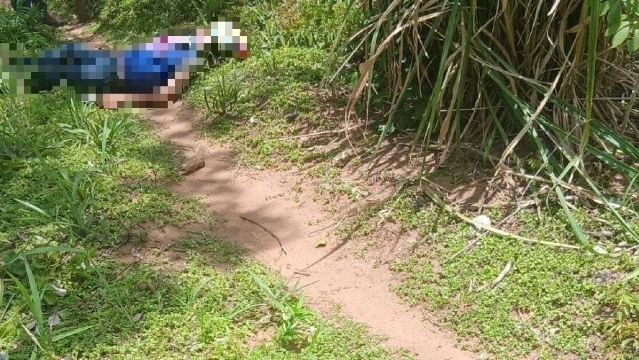 Corpo de mulher de 75 anos é encontrado degolado na fronteira