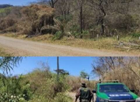 Concessionária recorre de multa por incêndio que atingiu sítios em Bodoquena