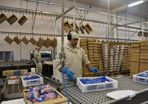 Com alta de 14%, indústria de MS domina 73% das exportações