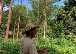  Jefferson é guia que ensina criança pegar no sono e espantar espíritos