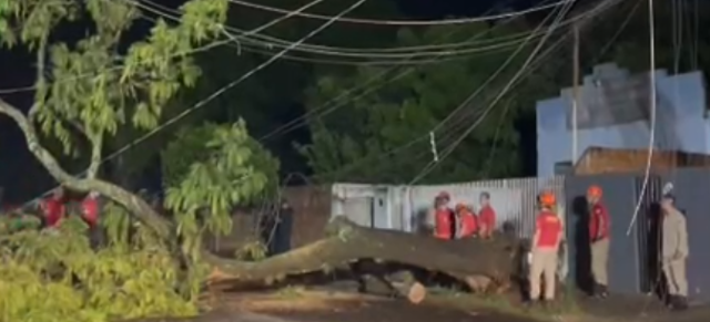 Queda de árvore danifica poste, puxa fiação e interdita rua