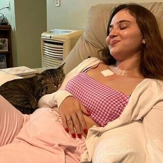 Família busca gato que foi companheiro de médica em tratamento contra câncer