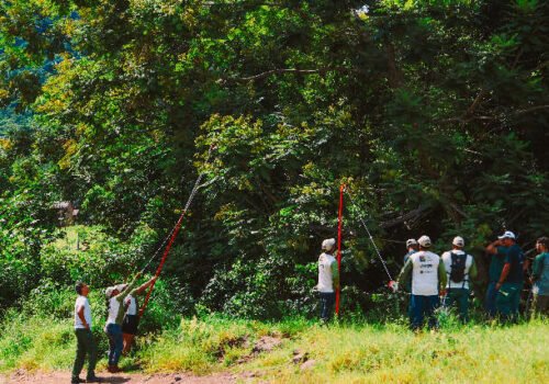 Comunidade Kadiwéu aprende técnicas para recuperar áreas degradadas no Pantanal