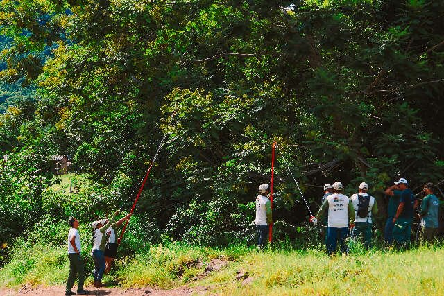 Comunidade Kadiwéu aprende técnicas para recuperar áreas degradadas no Pantanal