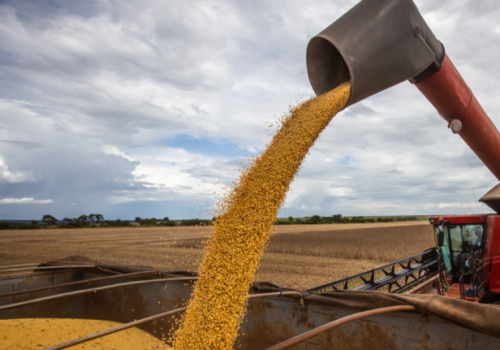 Estado fica entre cinco maiores exportadores de soja e milho em 2025