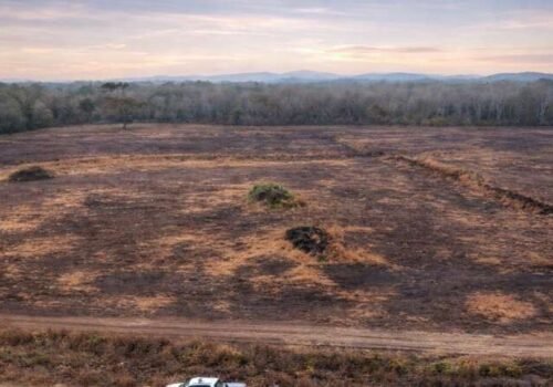 Fazendeiro é investigado por danos ambientais em 447 hectares em Bonito