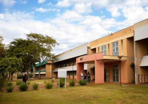 Inscrições para especialização em crimes ambientais terminam amanhã