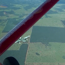 Blitz aérea e aniversário com bolo de melancia são os vídeos mais vistos