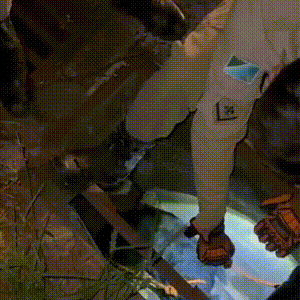 Cachorro é resgatado após cair em bueiro na Av. Cônsul Assaf Trad