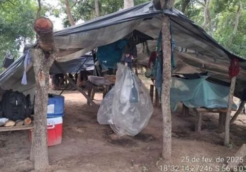 Com 92 pessoas resgatadas em 2025, MS lançará plano contra trabalho escravo