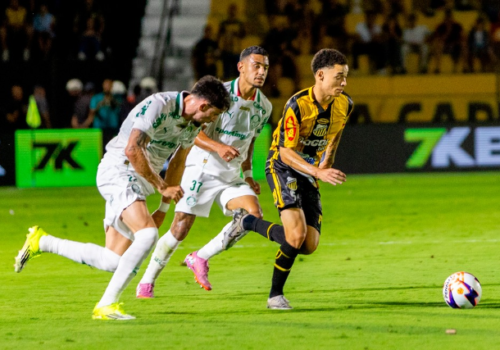 Novorizontino vence Palmeiras com atuação dominante no Paulistão