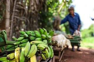 Após ver a casa onde cresceu em cinzas, verdureira monta banca para trabalhar