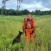 Bombeiros usam cães farejadores em busca de jovem desaparecido no Nova Lima