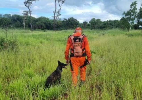 Bombeiros usam cães farejadores em busca de jovem desaparecido no Nova Lima