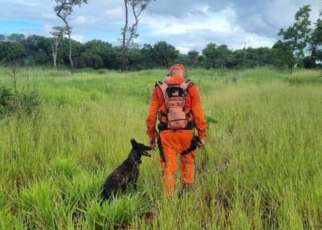 Bombeiros usam cães farejadores em busca de jovem desaparecido no Nova Lima