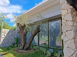 Do quintal ao apartamento, jardins criativos mudaram a forma de morar Do quintal ao apartamento, jardins criativos mudaram a forma de morar