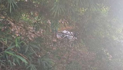 Corpo do paraguaio é encontrado no Rio Apa após 9 dias de buscas