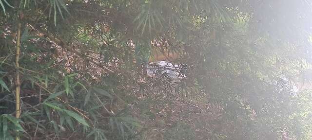 Corpo do paraguaio é encontrado no Rio Apa após 9 dias de buscas