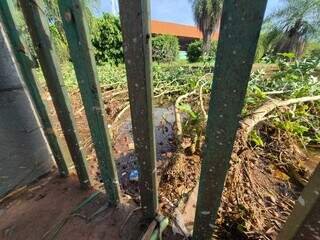 Moradores limpam barro acumulado depois da chuva forte Moradores limpam barro acumulado depois da chuva forte