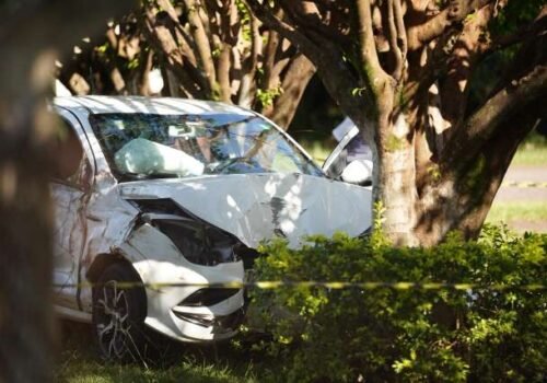 Motorista passa mal e morre ao bater carro em árvore dentro de madeireira