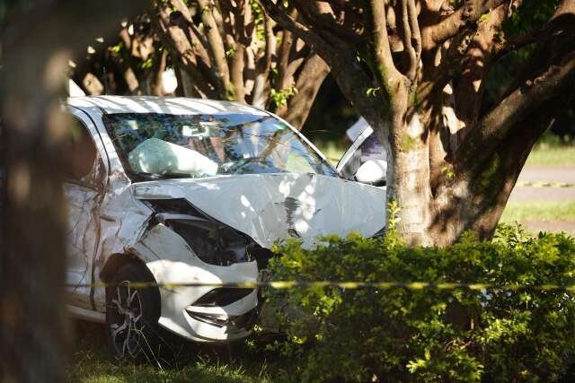 Motorista passa mal e morre ao bater carro em árvore dentro de madeireira