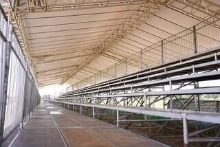 Desfile das escolas de samba espera levar 20 mil pessoas à Praça do Papa