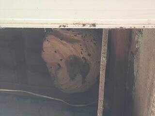 Em protesto, pais fecham escola indígena e cobram melhorias em Porto Murtinho