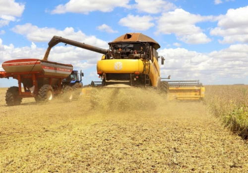 Safra de soja em Mato Grosso do Sul atinge 27,7% da colheita