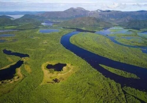 Riedel transforma MS Mineral para ampliar parceria com setor privado