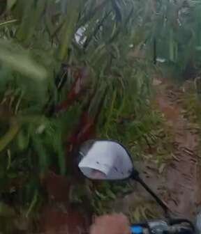 Após chuva, queda de árvore bloqueia rua no Jardim Centro-Oeste