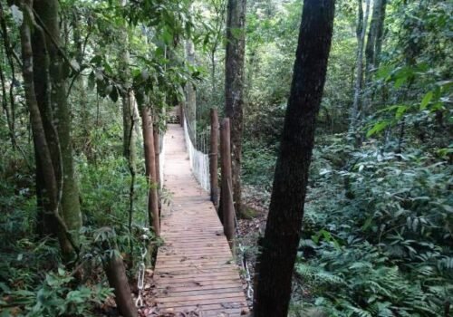 Parque das Matas do Segredo passa a ter limite e regras para visitantes