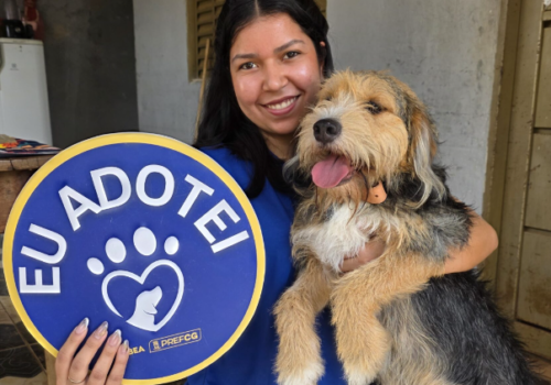 Cães resgatados de maus-tratos aguardam novo lar em ação de adoção