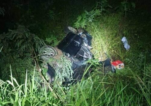 Motorista capota carro ao tentar desviar de animal na BR-262 em Corumbá