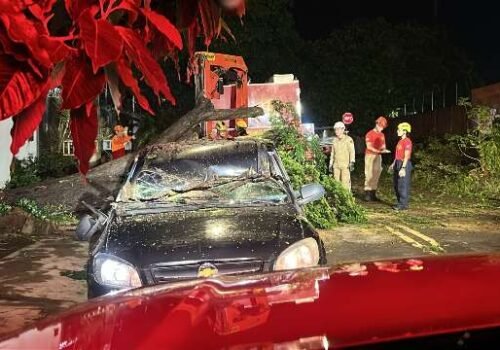 Árvore cai sobre carro durante chuva no Jardim São Lourenço