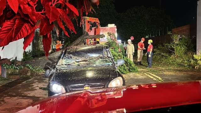 Árvore cai sobre carro durante chuva no Jardim São Lourenço